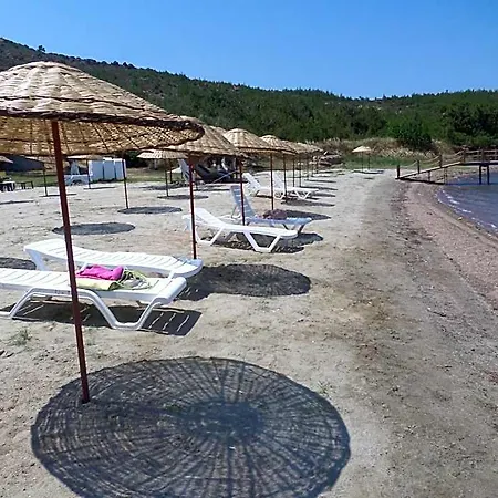 Tabiat Park Ayvalik Altinova (Yalova)