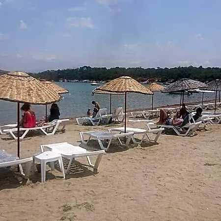 Tabiat Park Ayvalik Altinova (Yalova)